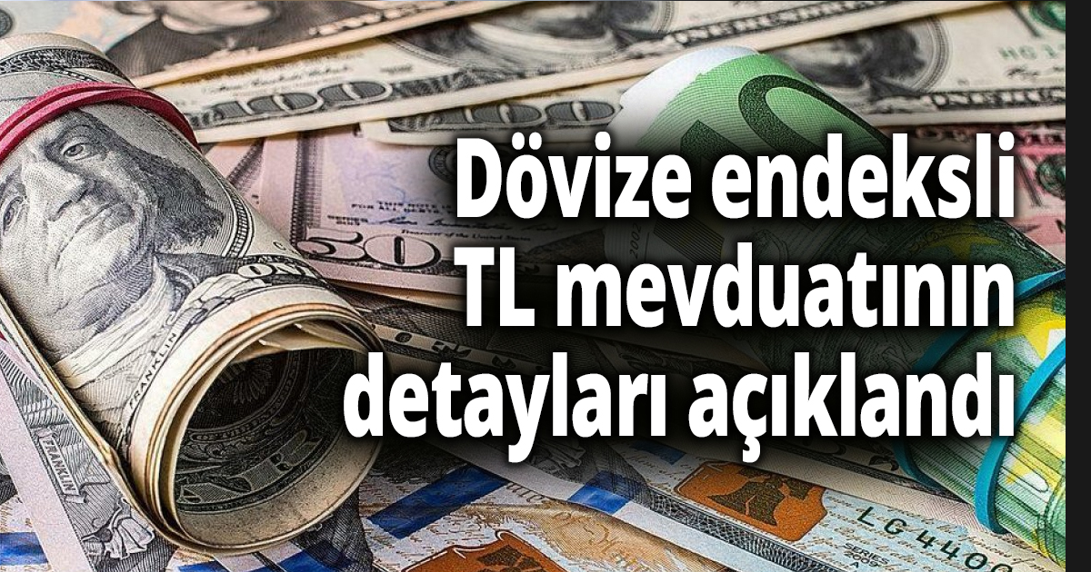 Dövize endeksli TL mevduatının detayları açıklandı