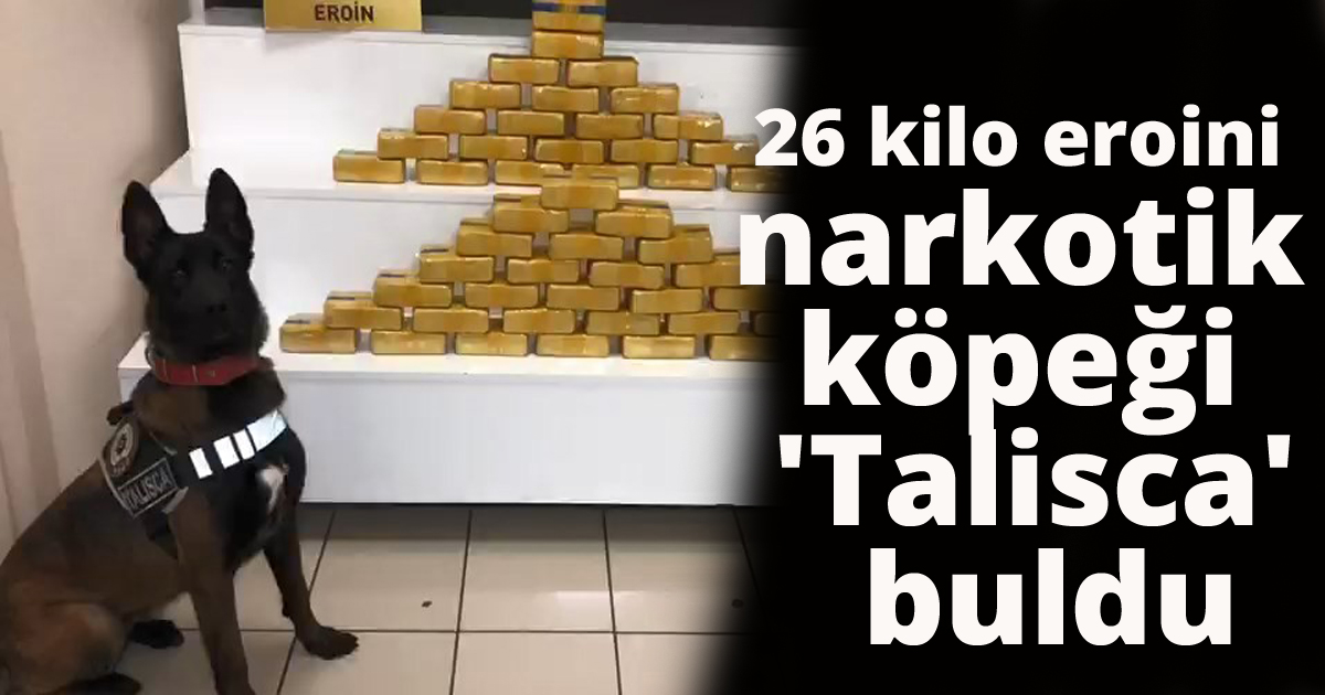  26 kilo eroini narkotik köpeği 'Talisca' buldu