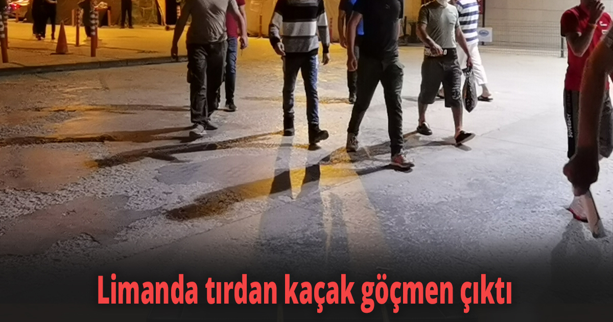 Limanda tırdan kaçak göçmen çıktı
