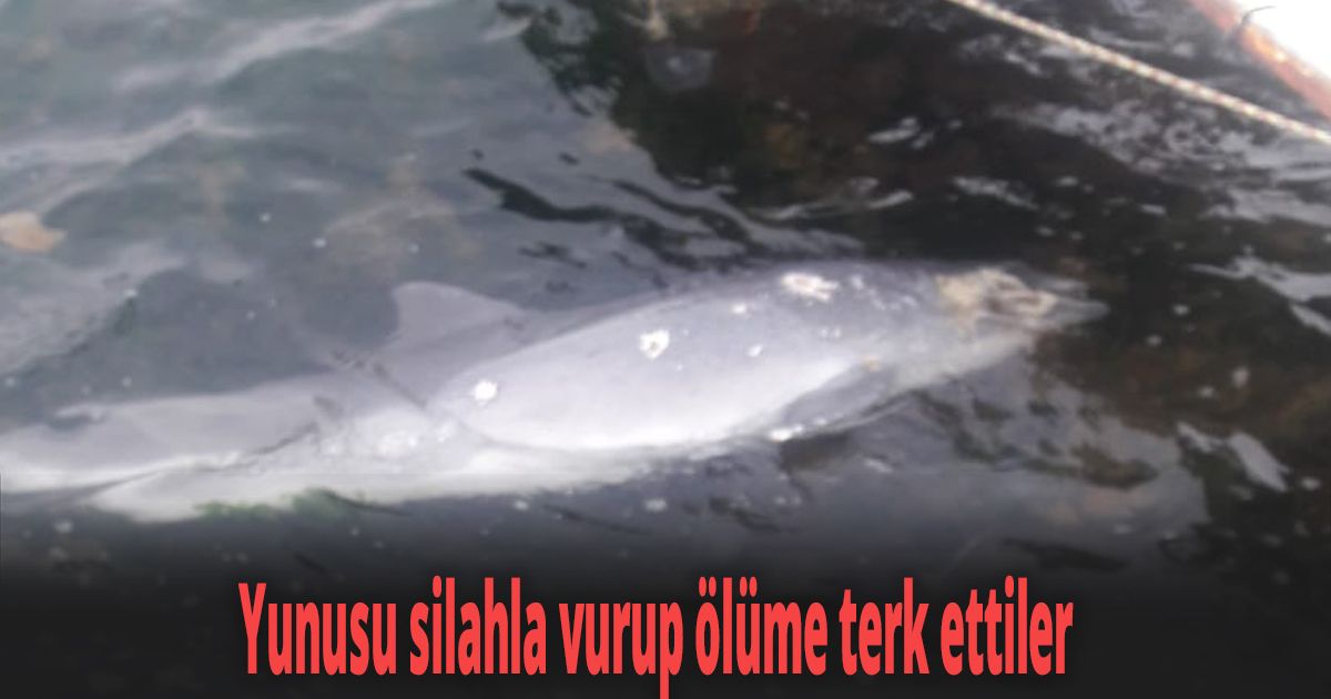 Kocaeli’de kan donduran görüntü