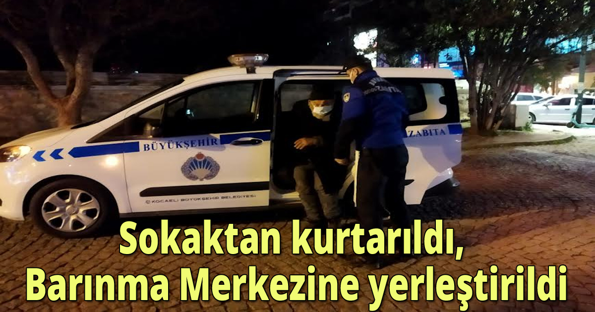 Sokaktan kurtarıldı, Barınma Merkezine yerleştirildi