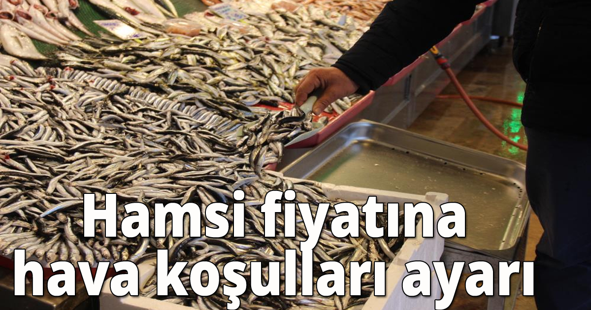 Hamsi fiyatına hava koşulları ayarı
