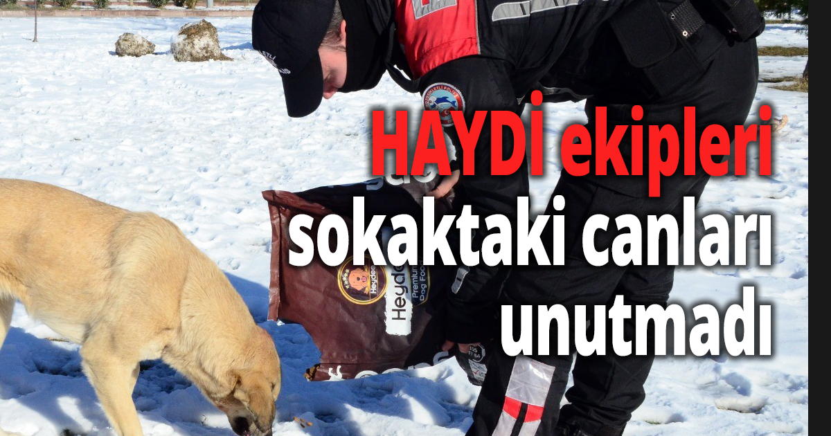 HAYDİ ekipleri sokaktaki canları unutmadı