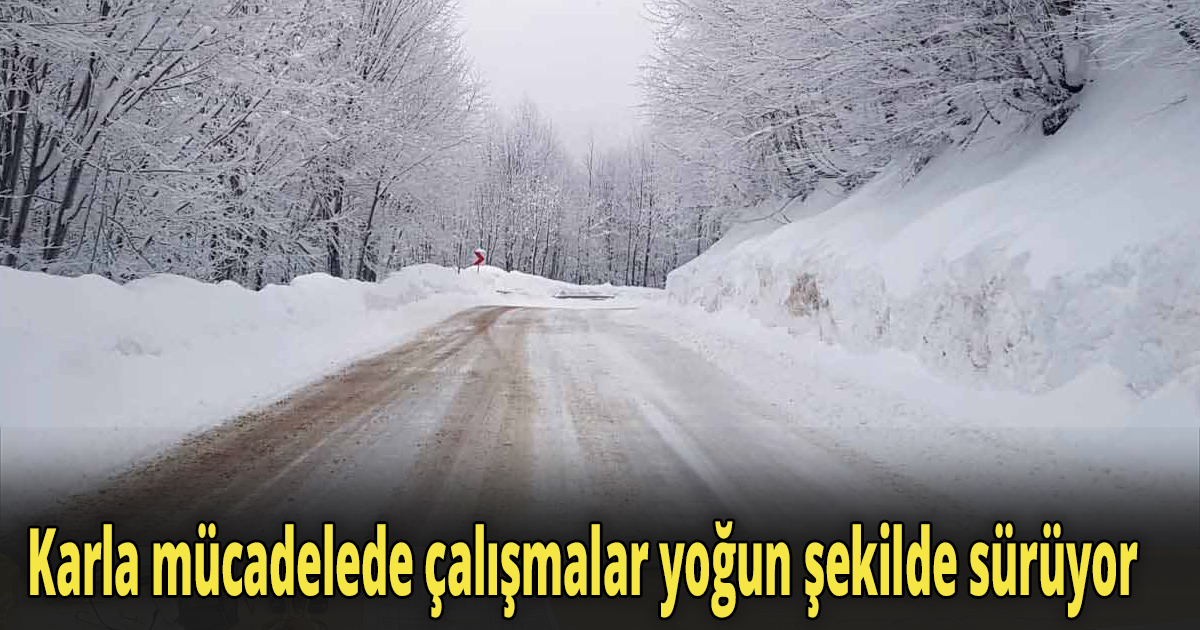 Karla mücadelede çalışmalar yoğun şekilde sürüyor