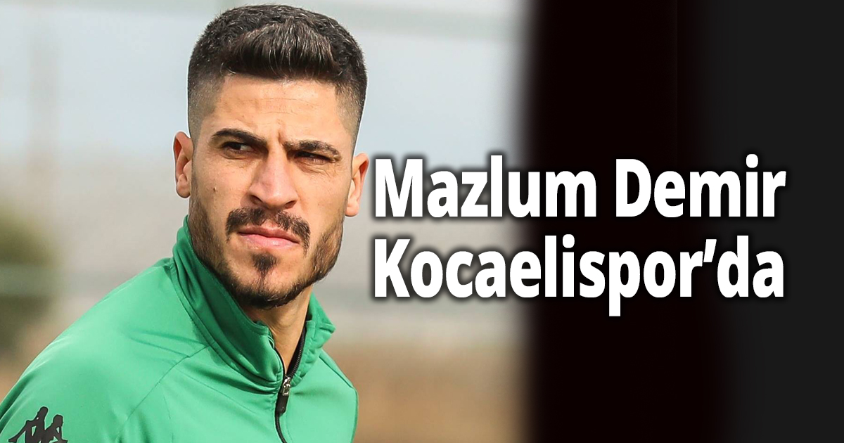 Mazlum Demir, Kocaelispor’da