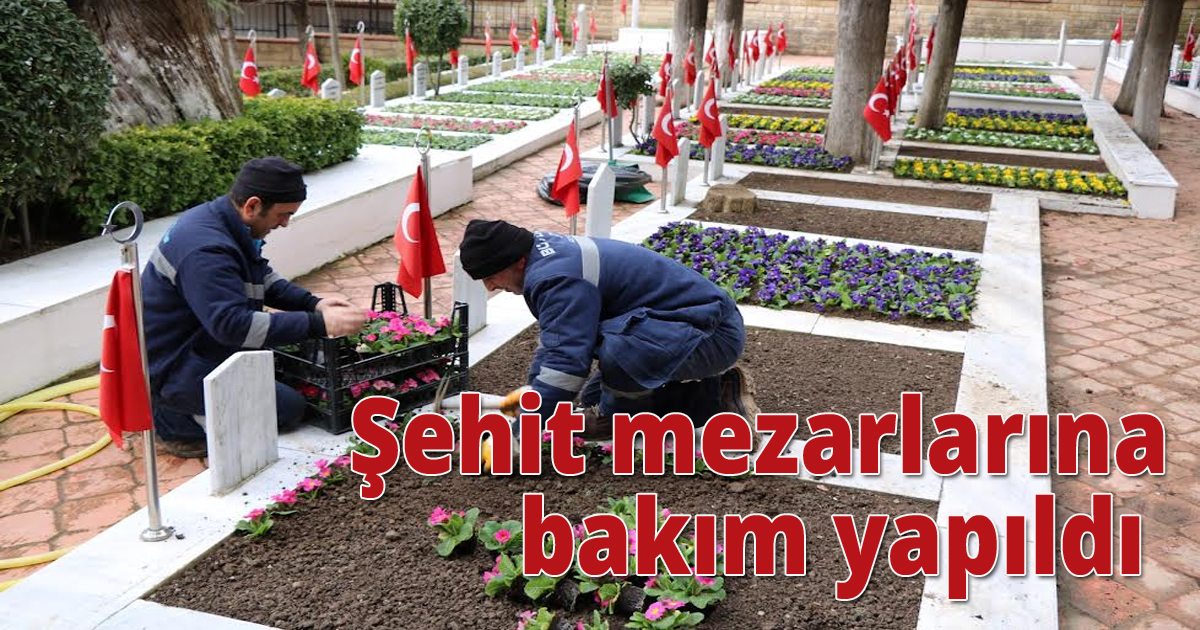 Şehit mezarlarına bakım yapıldı 