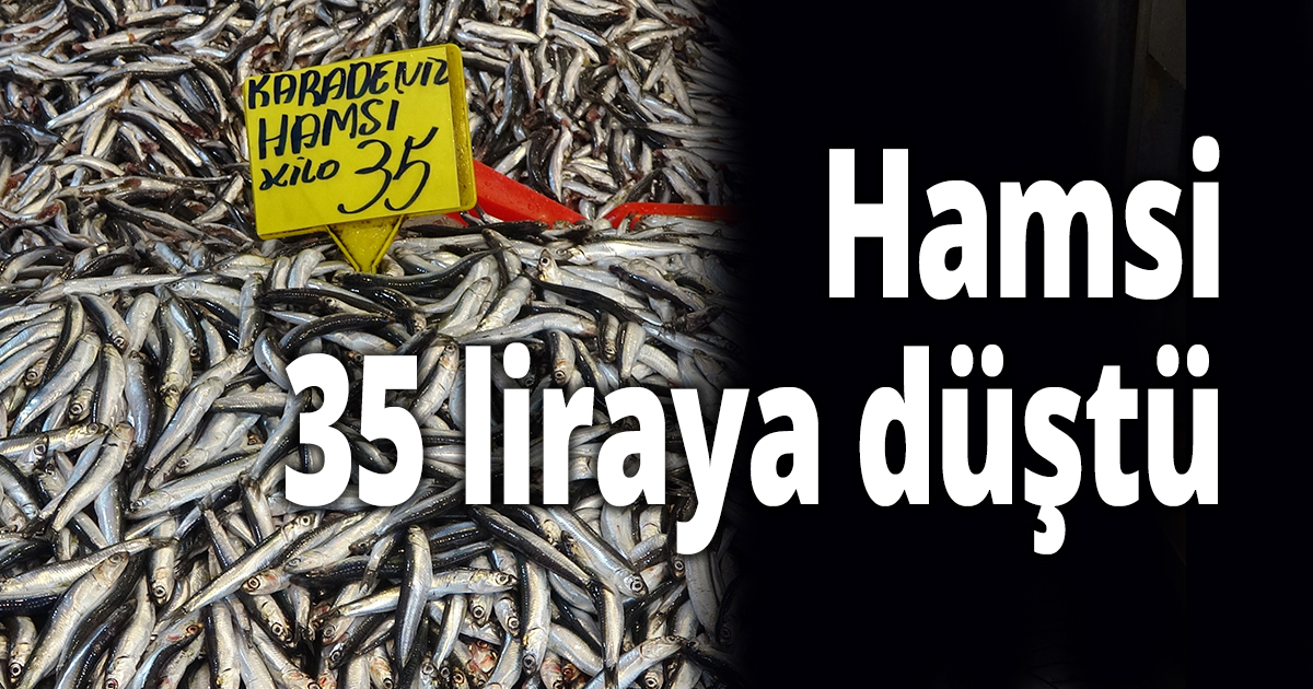 Hamsi 35 liraya düştü