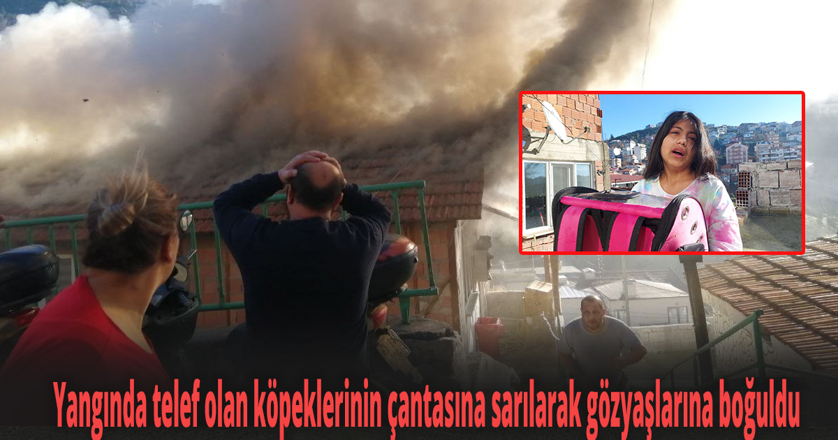 Yangında telef olan köpeklerinin çantasına sarılarak gözyaşlarına boğuldu