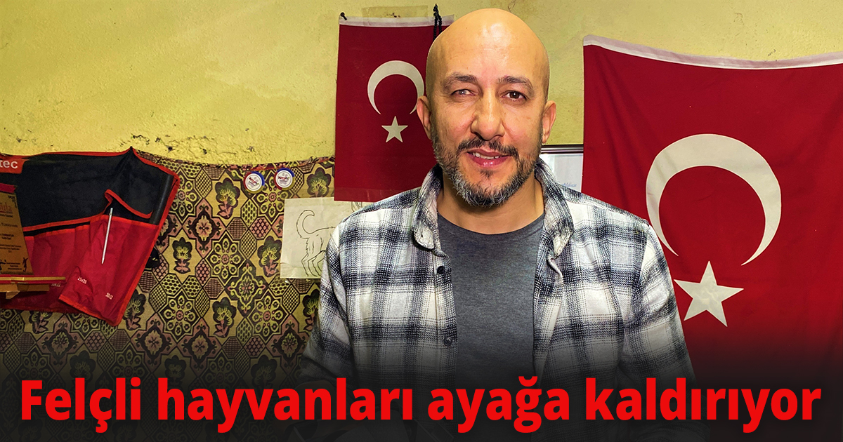 Felçli hayvanları ayağa kaldırıyor
