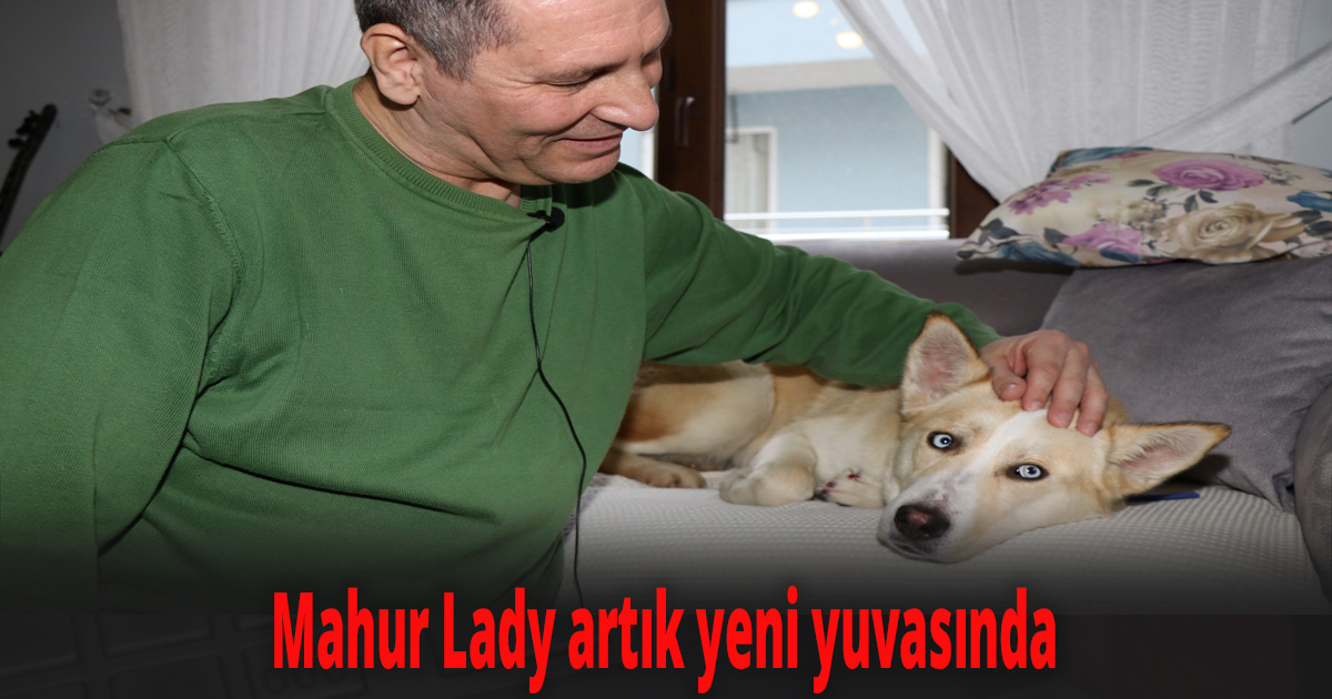 Mahur Lady artık yeni yuvasında