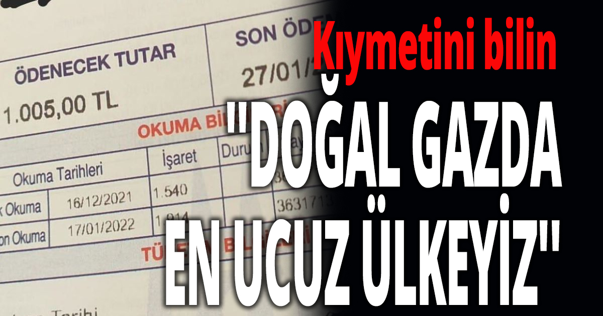 ''DOĞAL GAZDA EN UCUZ ÜLKEYİZ''