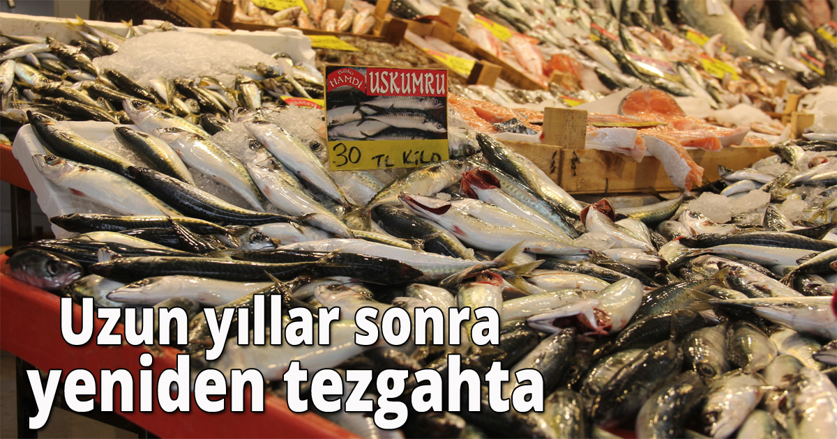 Uzun yıllar sonra yeniden tezgahta