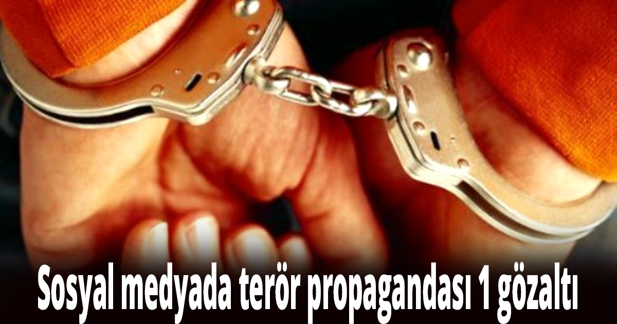 Sosyal medyada terör propagandası