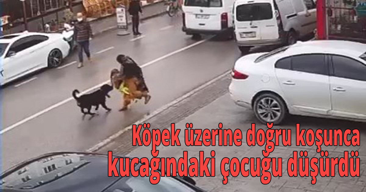 Köpek üzerine doğru koşunca kucağındaki çocuğu düşürdü