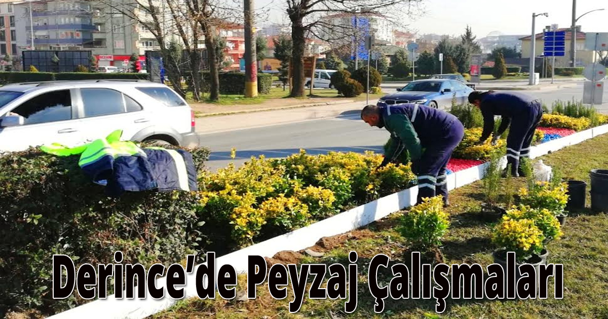 Derince’de Peyzaj Çalışmaları