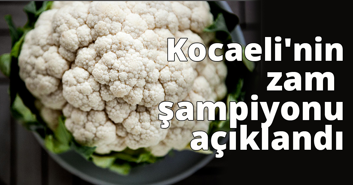 Kocaeli'nin zam şampiyonu açıklandı