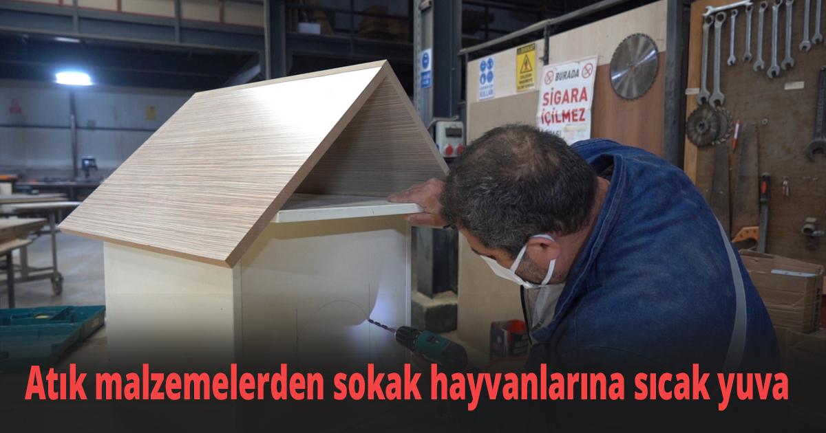 Atık malzemelerden sokak hayvanlarına sıcak yuva