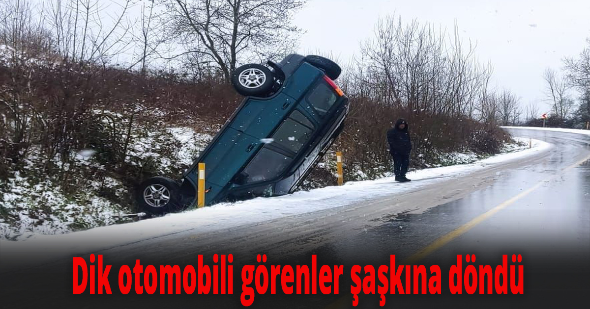 Dik otomobili görenler şaşkına döndü