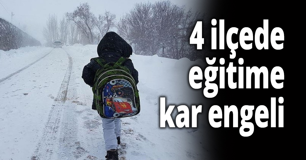  4 ilçede eğitime ara verildi