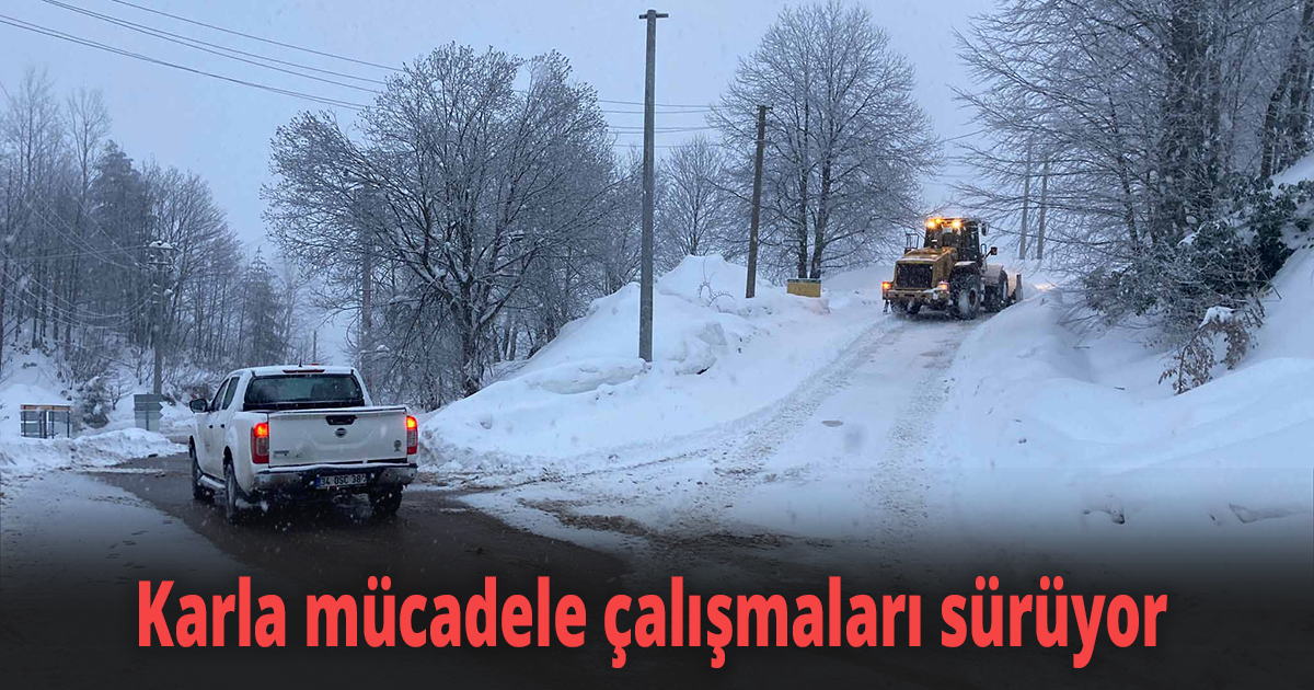 Kocaeli'de karla mücadele çalışmaları sürüyor