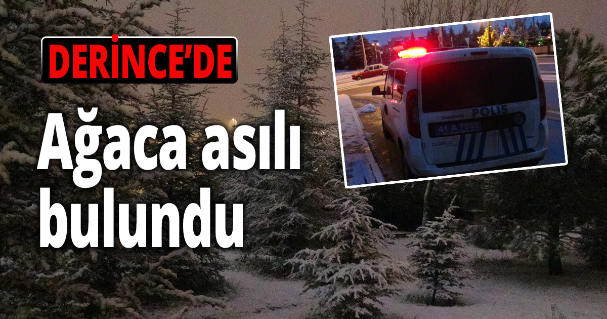 Kocaeli'de ağaca asılı halde erkek cesedi bulundu