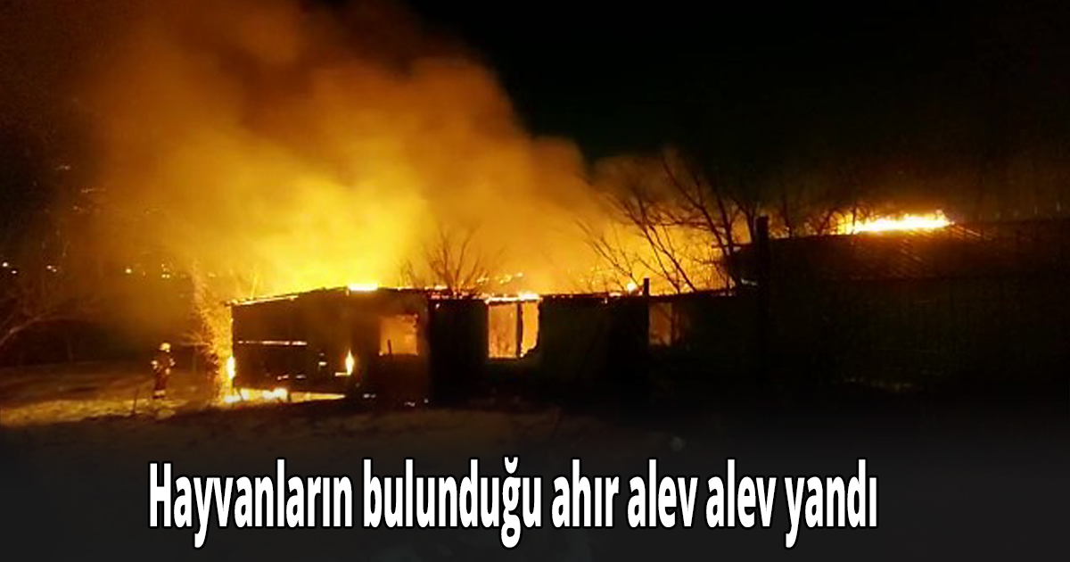 Hayvan ahırı yandı