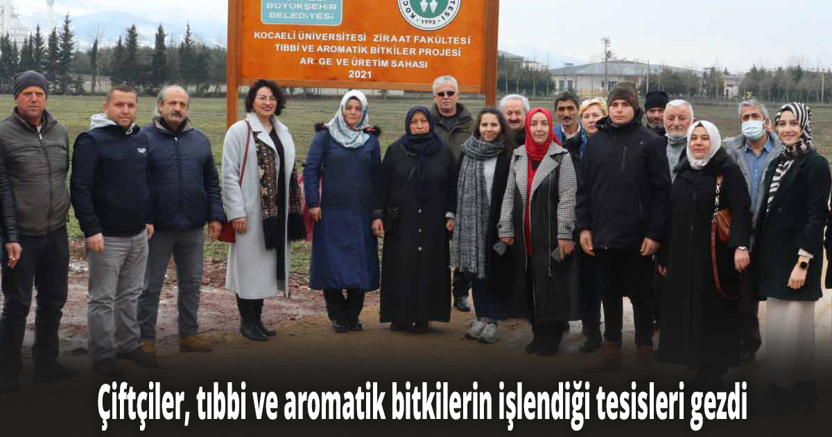 4 MİLYON AROMATİK BİTKİ DİKİLDİ