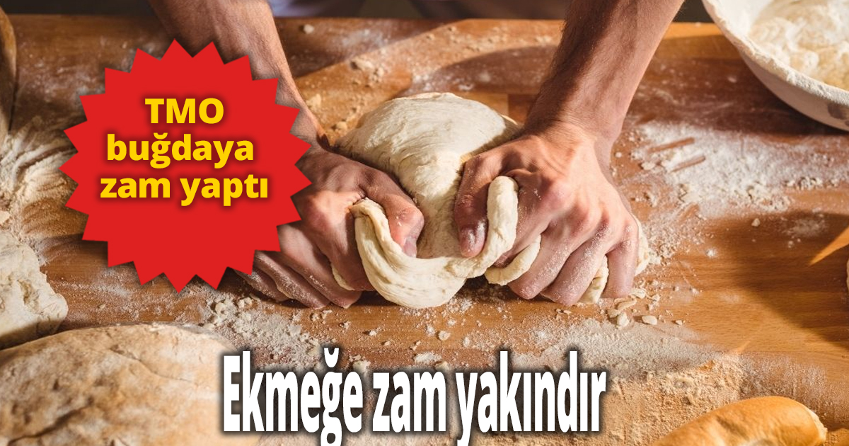 TMO buğdaya zam yaptı