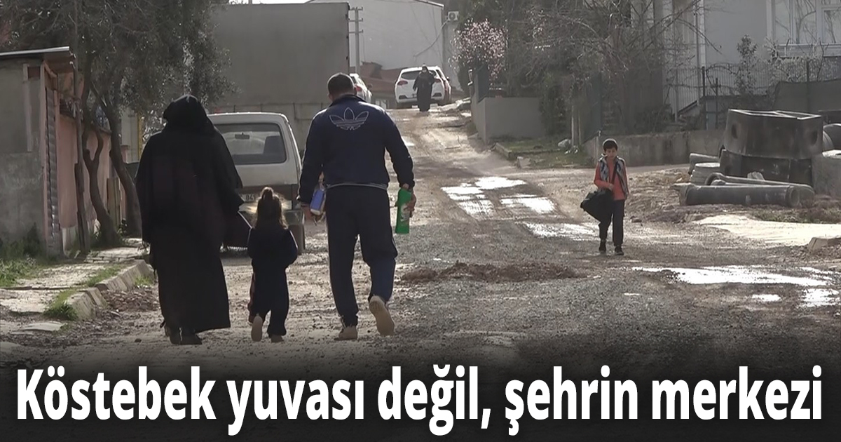 Köstebek yuvası değil, şehrin merkezi