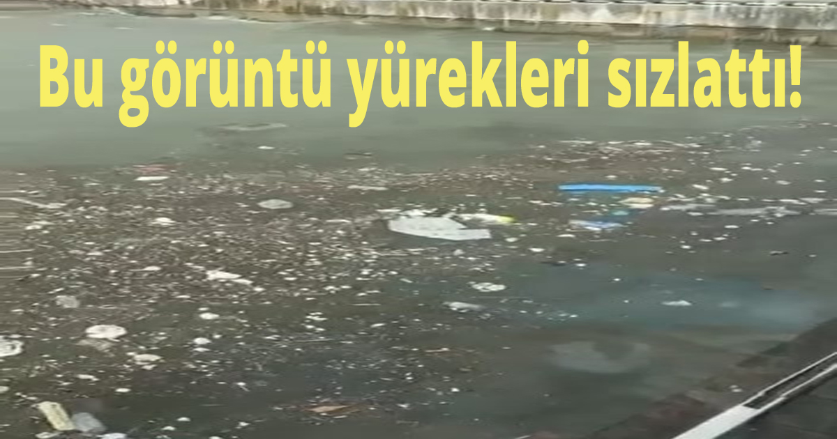 Bu görüntü yürekleri sızlattı!