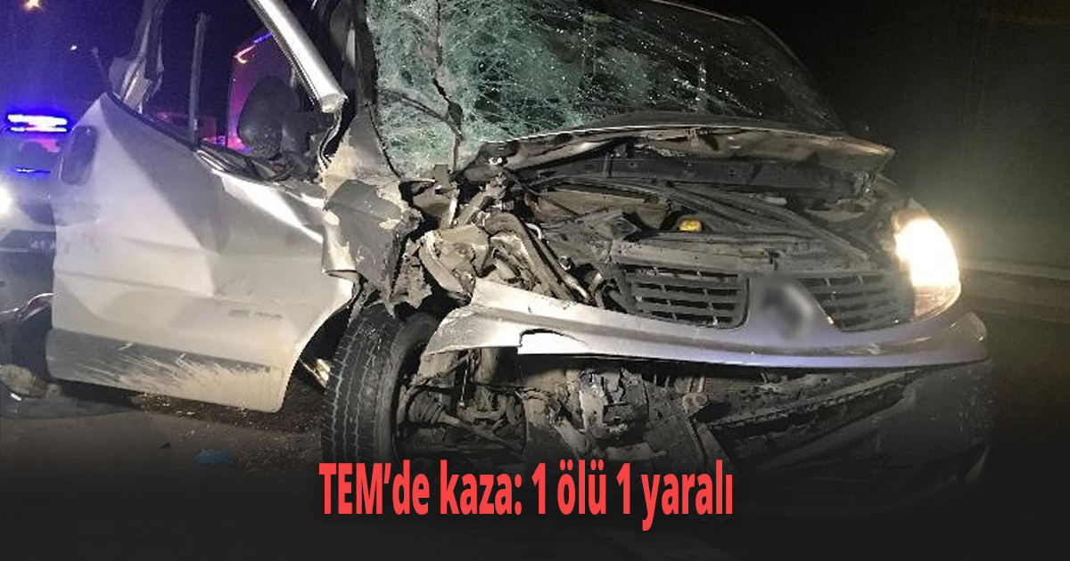 TEM’de kaza: 1 ölü 1 yaralı