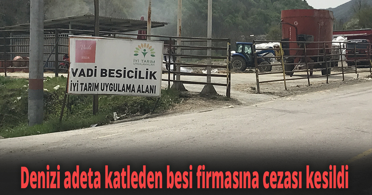 Denizi adeta katleden besi firmasına cezası kesildi