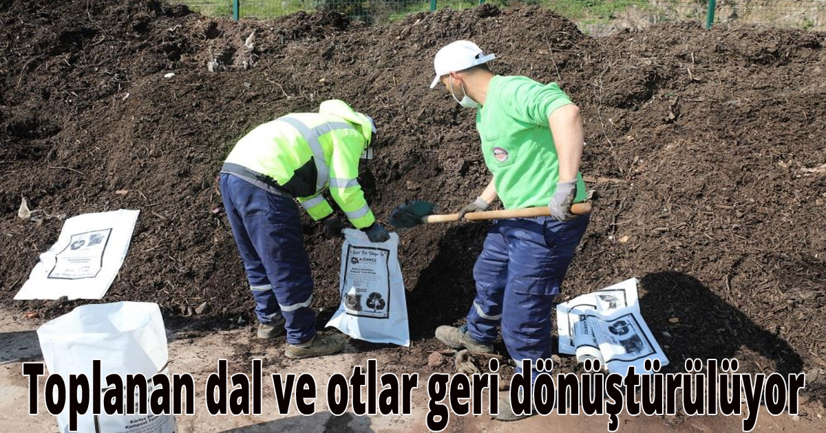 Toplanan dal ve otlar geri dönüştürülüyor