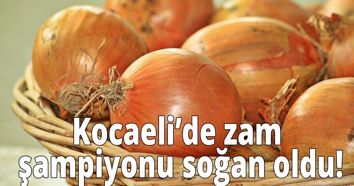 İşte Kocaelinin zam şampiyonu!