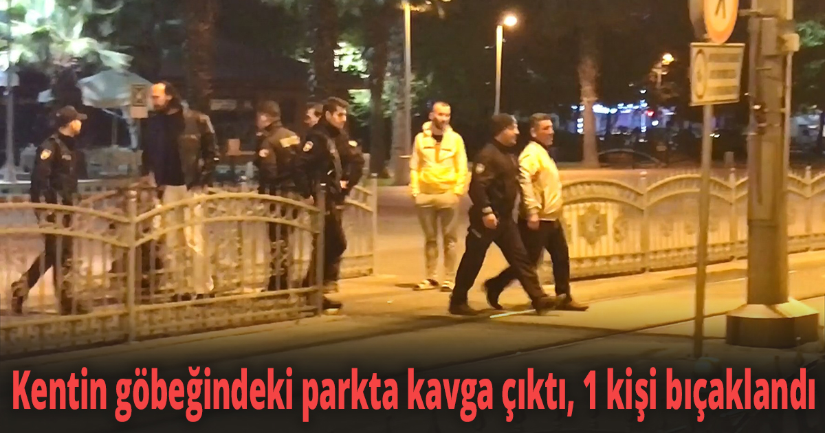 Kentin göbeğindeki parkta kavga çıktı, 1 kişi bıçaklandı