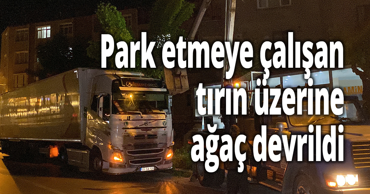 Park etmeye çalışan tırın üzerine ağaç devrildi