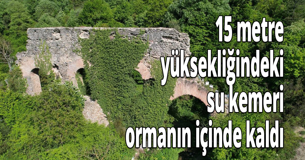 Bir kentin su ihtiyacını karşılıyordu, artık ormanın içinde kaldı