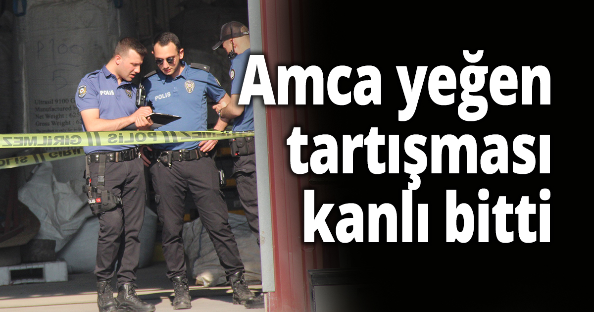 Amca yeğen tartışması kanlı bitti
