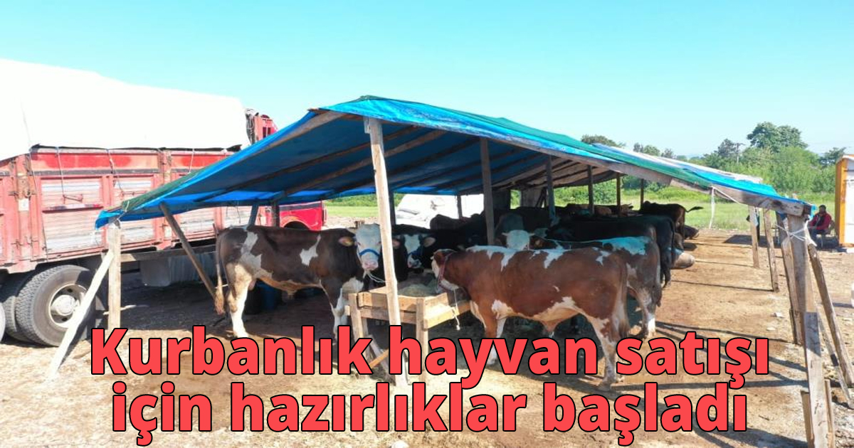 Kurbanlık hayvan satışı için hazırlıklar başladı