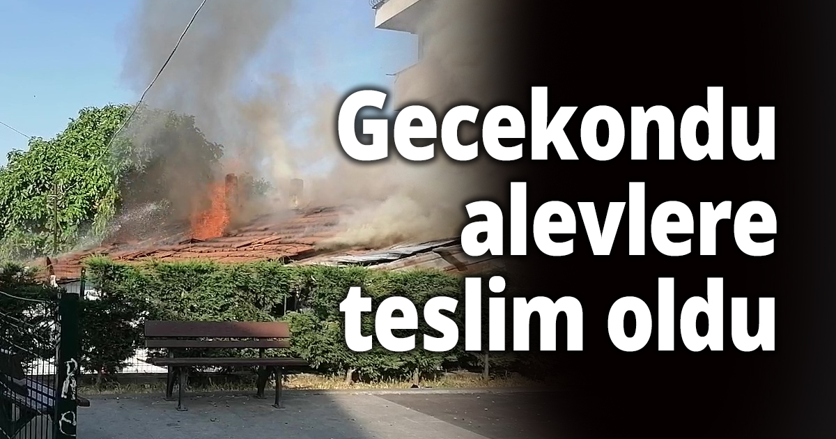Gecekondu alevlere teslim oldu