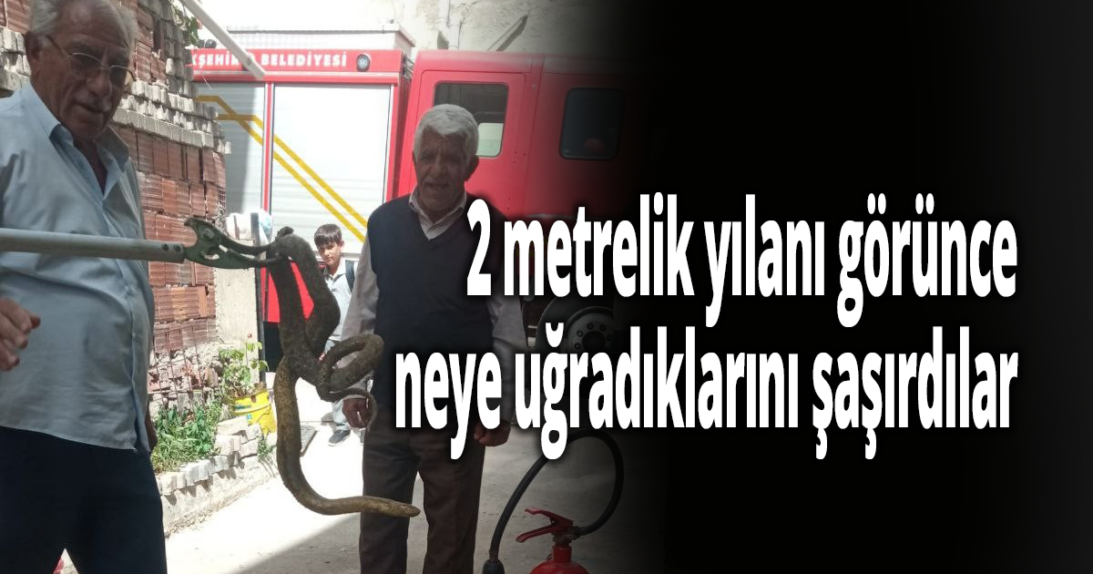 2 metrelik yılanı görünce neye uğradıklarını şaşırdılar
