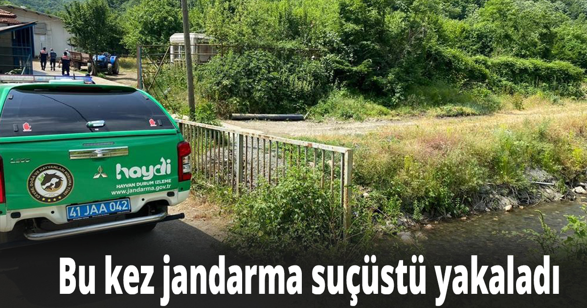 Hayvan ve insan atıklarını dereye bırakan firma hakkında bu kez jandarma tarafından adli işlem başlatıldı