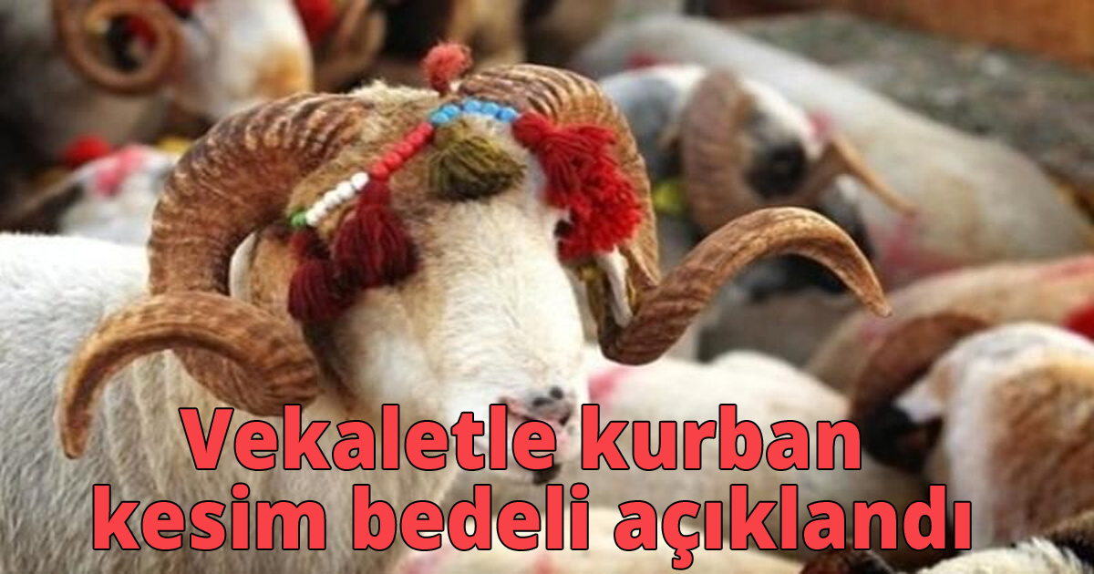 Vekaletle kurban kesim bedeli açıklandı