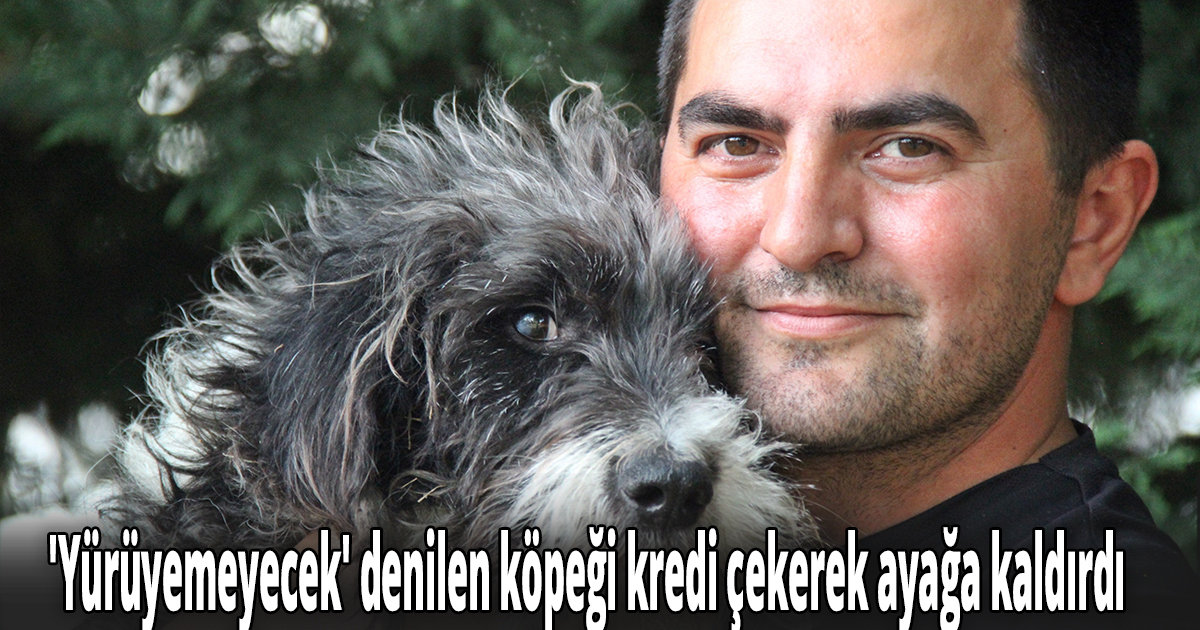 ''Yürüyemeyecek'' denilen köpeği kredi çekerek ayağa kaldırdı