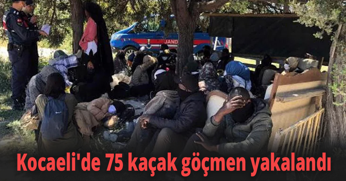 Kocaeli'de 75 kaçak göçmen yakalandı