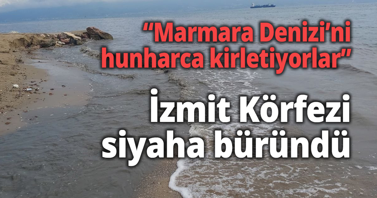 İzmit Körfezi siyaha büründü