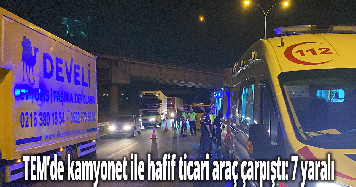 TEM’de kamyonet ile hafif ticari araç çarpıştı