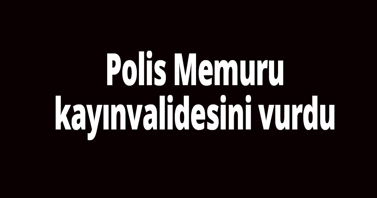 Tartıştığı kayınvalidesini vurdu