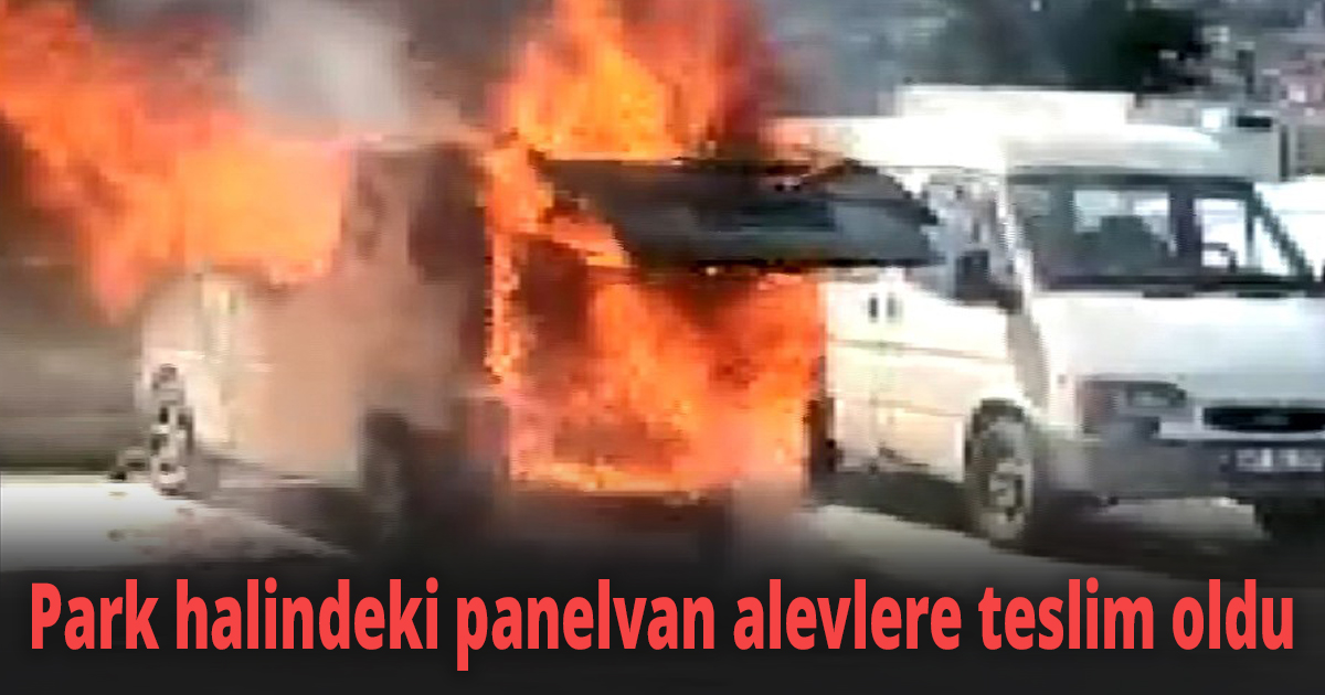 Park halindeki panelvan alevlere teslim oldu