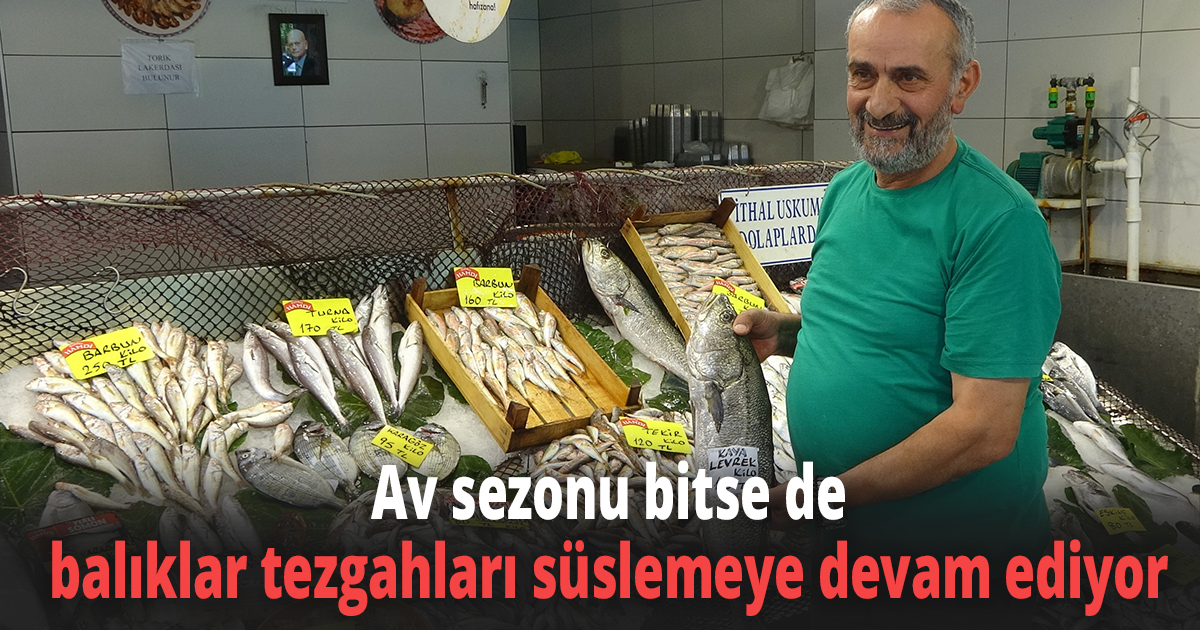 Av sezonu bitse de balıklar tezgahları süslemeye devam ediyor